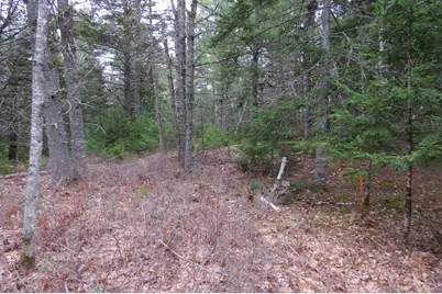 23 Porcupine Road, Sullivan, ME 04664 - Photo 2