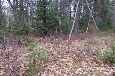 23 Porcupine Road, Sullivan, ME 04664 - Photo 10