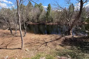 586 Plains Rd, Harrison, ME 04040 - Photo 4