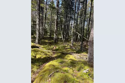 37 Missy Way, Steuben, ME 04680 - Photo 2