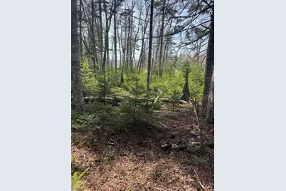 37 Missy Way, Steuben, ME 04680 - Photo 4