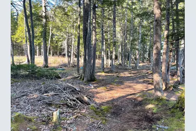 Lot 35-B Corduroy Road, Nobleboro, ME 04555 - Photo 6