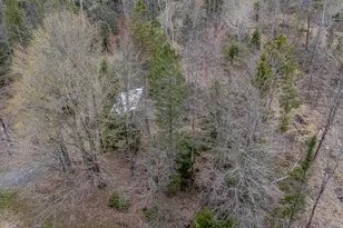 394 Frenchs Mills Rd, Sangerville, ME 04479 - Photo 84