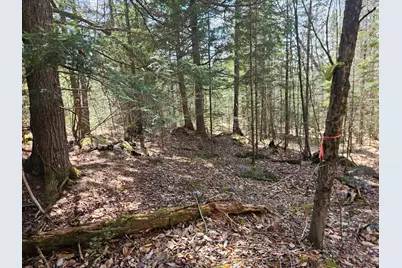 Map 4-47 Merrill Road, Willimantic, ME 04443 - Photo 8