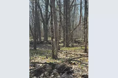 Lot 88 Bolton Hill Road, Augusta, ME 04330 - Photo 6