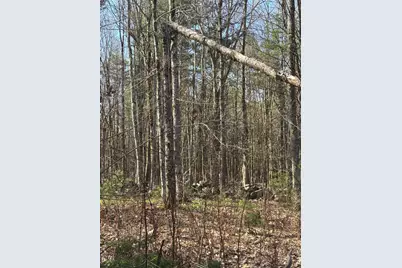 Lot 88 Bolton Hill Road, Augusta, ME 04330 - Photo 8