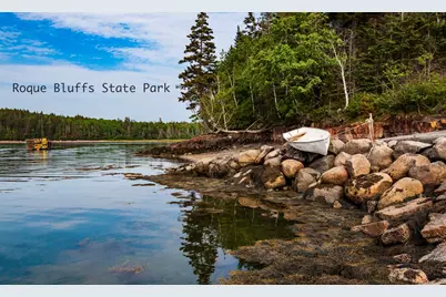 89 Johnson Cove Road, Roque Bluffs, ME 04654 - Photo 28