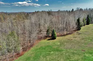 217 Campbell Rd, New Limerick, ME 04761 - Photo 102