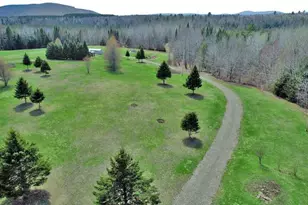 217 Campbell Rd, New Limerick, ME 04761 - Photo 94
