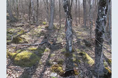 L6 Ranch Road, Buckfield, ME 04220 - Photo 4
