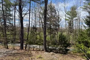 1667 Evergreen Way, Casco, ME 04015 - Photo 2