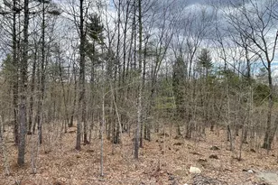 201 Dunton Rd, Naples, ME 04055 - Photo 8