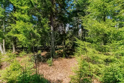 840 Cutler Rd. Road, Machiasport, ME 04655 - Photo 8