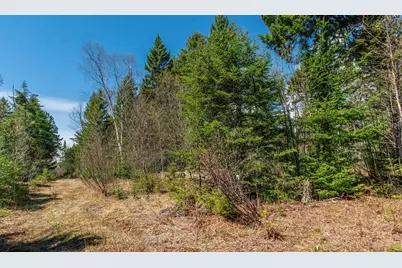 840 Cutler Rd. Road, Machiasport, ME 04655 - Photo 4