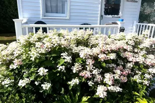 1139 Post Rd, Wells, ME 04090 - Photo 38