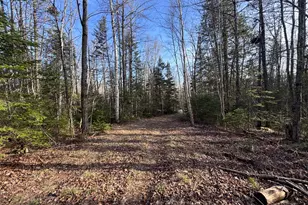 488 Cook Hill Rd, Freeman Twp, ME 04983 - Photo 24