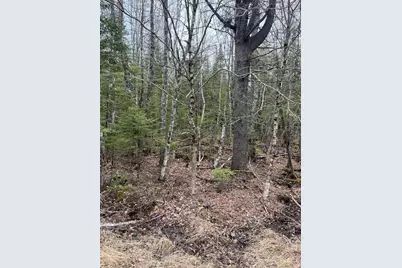 M6L10 Boundary Road, Orient, ME 04471 - Photo 2