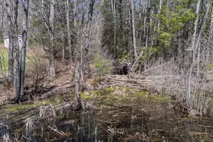 232 McKay Rd, Edgecomb, ME 04556 - Photo 56
