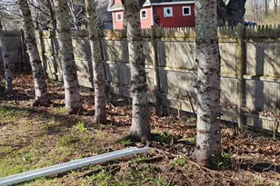 436 Station Rd, Stacyville, ME 04777 - Photo 62