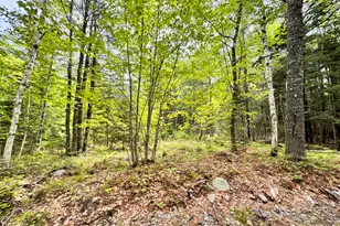 18-B Back Pasture Ln, Blue Hill, ME 04614 - Photo 1