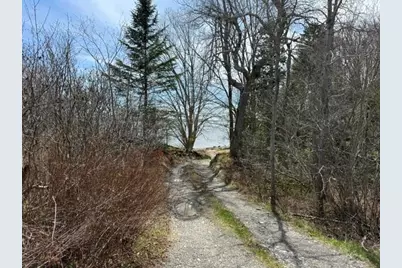 Lot 1 Holmes Bay Farms Road, Whiting, ME 04691 - Photo 8