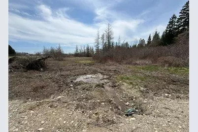 Lot 1 Holmes Bay Farms Road, Whiting, ME 04691 - Photo 6