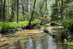 Lot A Goodwin Rd, Carthage, ME 04224 - Photo 24