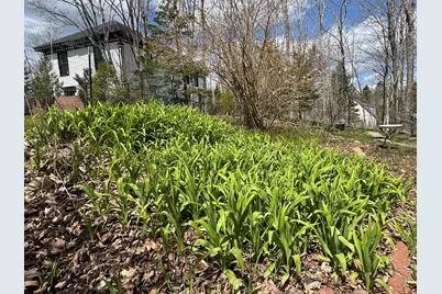 8 Leighton Point Road, Pembroke, ME 04666 - Photo 4