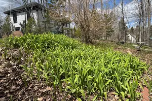 8 Leighton Point Rd, Pembroke, ME 04666 - Photo 4