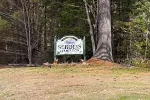 1163 Seboeis Rd, Seboeis Plantation, ME 04448 - Photo 2