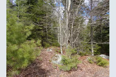 Lot 10 Bailey Mountain Road, Franklin, ME 04634 - Photo 10