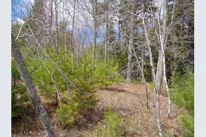 Lot 10 Bailey Mountain Road, Franklin, ME 04634 - Photo 8
