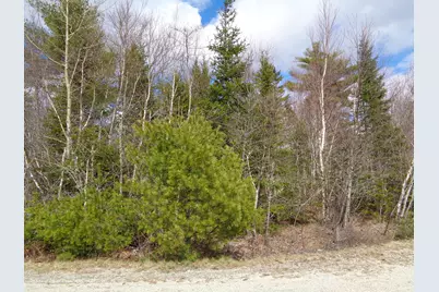 Lot 10 Bailey Mountain Road, Franklin, ME 04634 - Photo 6