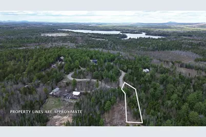 Lot 11 Bailey Mountain Road, Franklin, ME 04634 - Photo 2