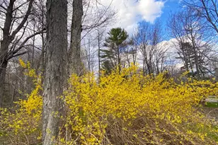156 Blanket Ln, Stockton Springs, ME 04981 - Photo 26