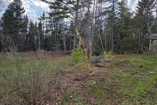 156 Blanket Ln, Stockton Springs, ME 04981 - Photo 36