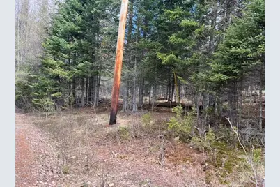 Lot 12 Doe Path, Rangeley, ME 04970 - Photo 6