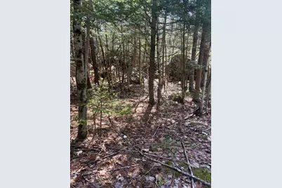0 Acadia Highway, Orland, ME 04472 - Photo 4