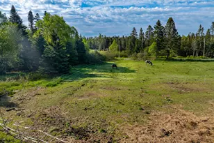 1155 Boot Cove Rd, Lubec, ME 04652 - Photo 14