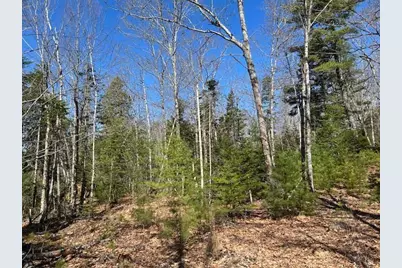 M10 L19-4 Blackswoods Road, Franklin, ME 04634 - Photo 16