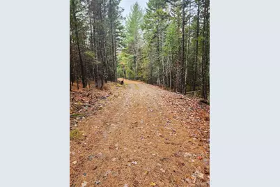 Off Northfield Road, Marshfield, ME 04654 - Photo 10
