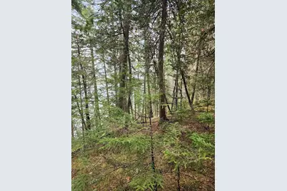 Off Northfield Road, Marshfield, ME 04654 - Photo 30