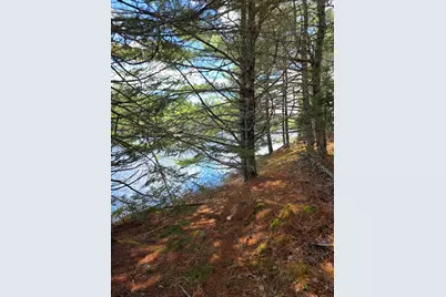 Off Northfield Road, Marshfield, ME 04654 - Photo 34