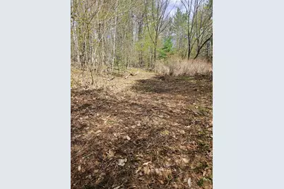 Lot 23 Edes Brook Road, Temple, ME 04984 - Photo 4