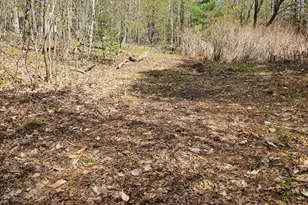 Lot 23 Edes Brook Rd, Temple, ME 04984 - Photo 4
