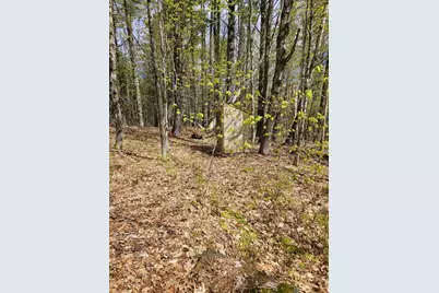 Lot 23 Edes Brook Road, Temple, ME 04984 - Photo 2
