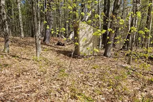 Lot 23 Edes Brook Rd, Temple, ME 04984 - Photo 2
