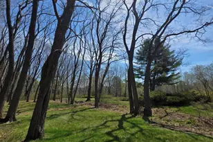203 Winn Rd, Falmouth, ME 04105 - Photo 34