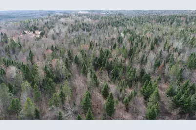 Lot 25 Smyrna Townline Road, Smyrna, ME 04780 - Photo 22