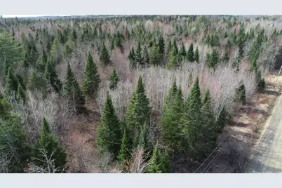 Lot 25 Smyrna Townline Road, Smyrna, ME 04780 - Photo 2
